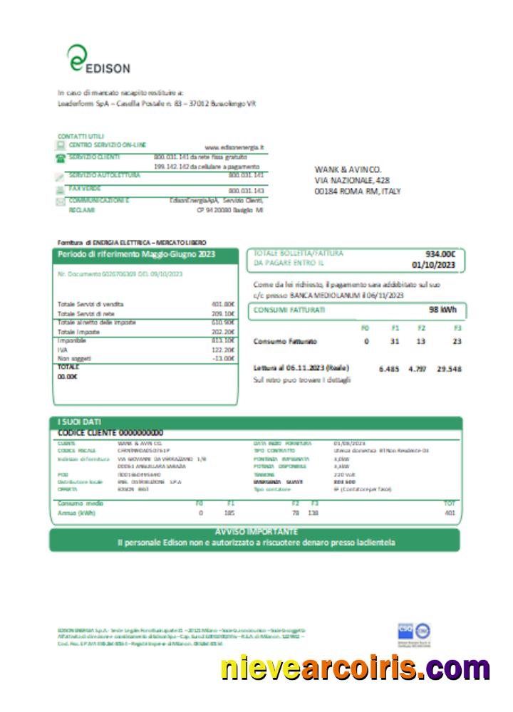 Edison utility business bill